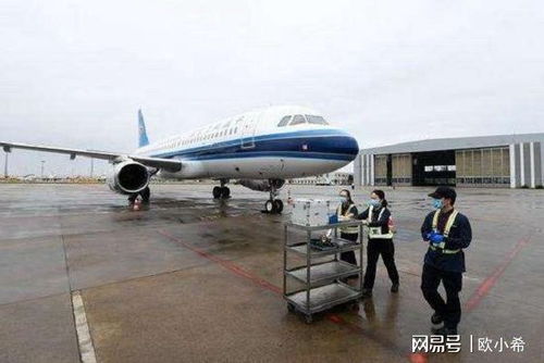 國門為同胞而開，航空服務筑牢防疫長城